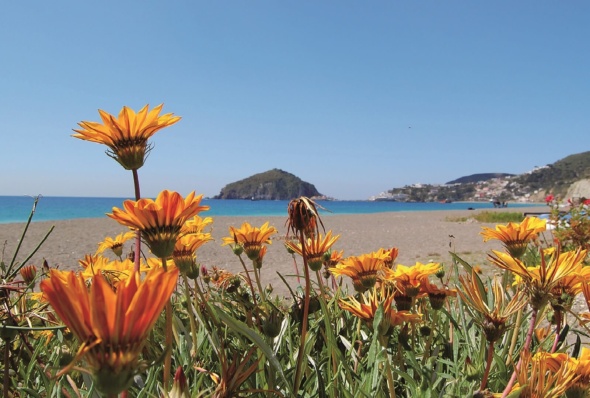 5 Gründe für einen Urlaub auf Ischia