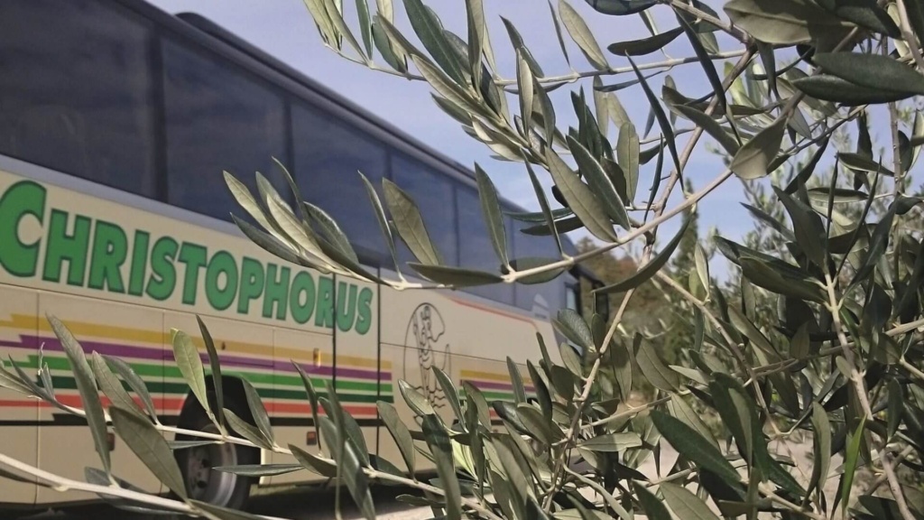 Bus Olivenzweige