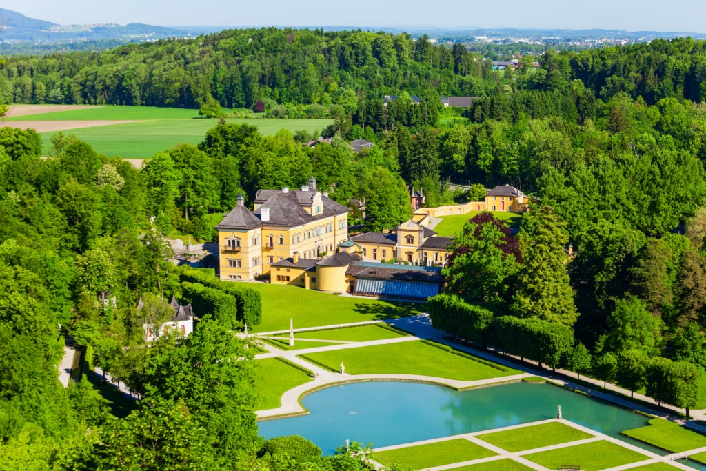 Löwe im Tierpark München